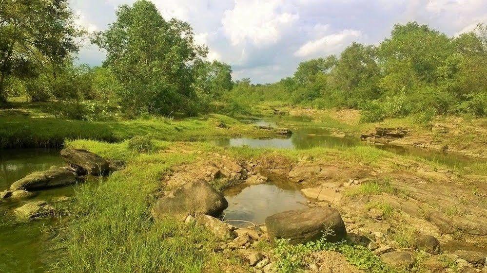Kula Kula Luxury Camping Resort اوداوالاوي المظهر الخارجي الصورة