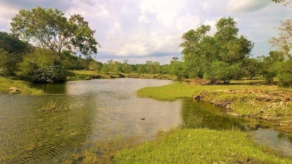 Kula Kula Luxury Camping Resort اوداوالاوي المظهر الخارجي الصورة