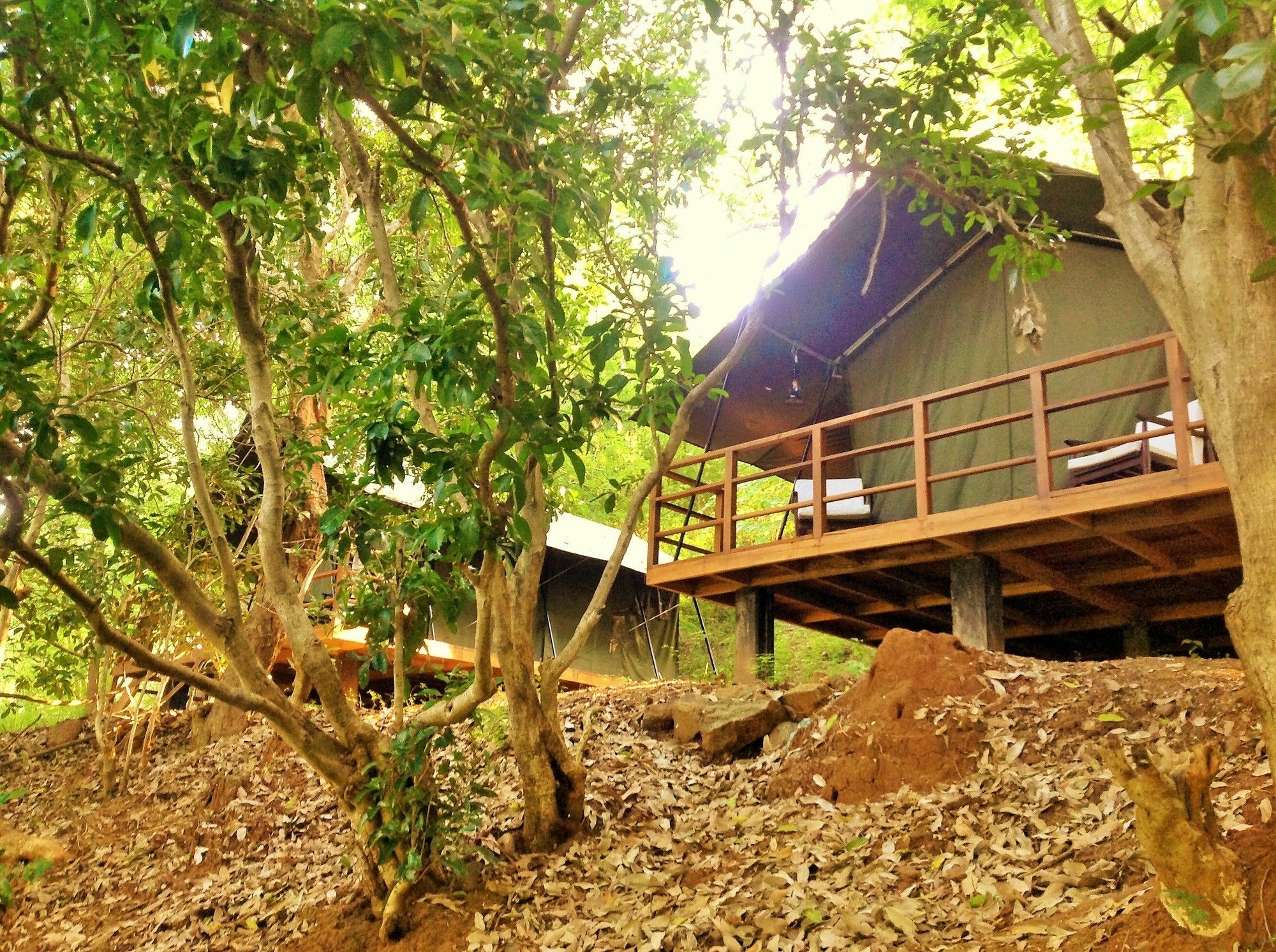 Kula Kula Luxury Camping Resort اوداوالاوي المظهر الخارجي الصورة